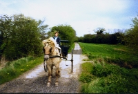 Horse drawn vehicle on Aldenham 20