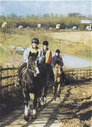 Ridge 34 Bridleway