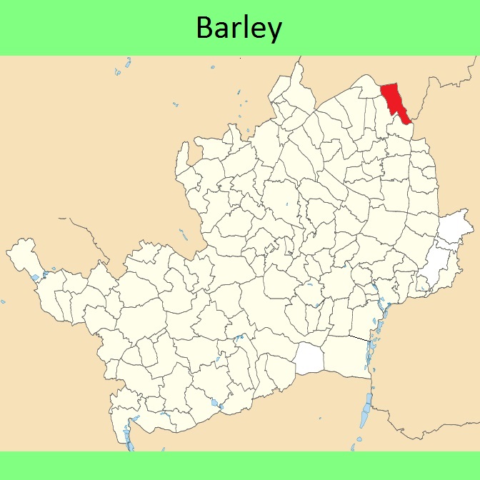 Barley