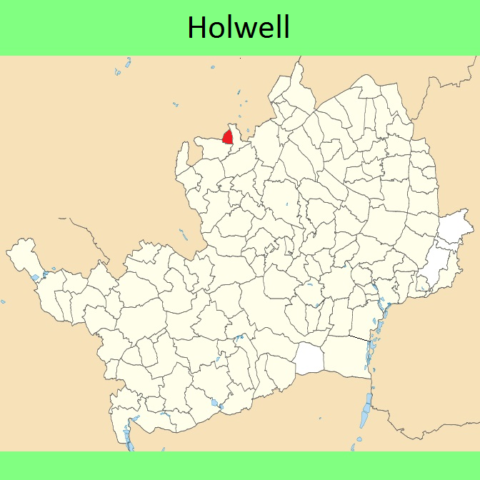 Holwell