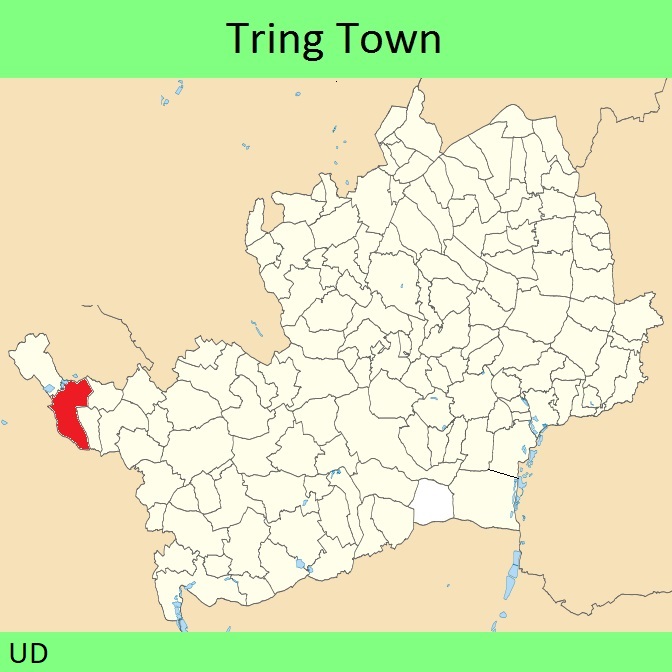 Tring Town