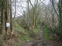 Aldenham 83 - Oakridge Lane