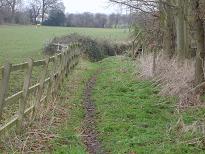 Aldenham 83 - Oakridge Lane