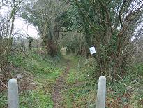 Aldenham 83 - Oakridge Lane