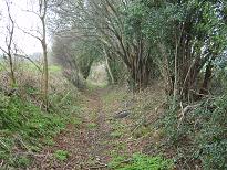 Aldenham 83 - Oakridge Lane