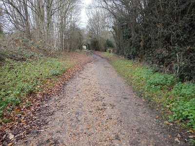 Photograph of northern part of Aldenham 12 bridleway