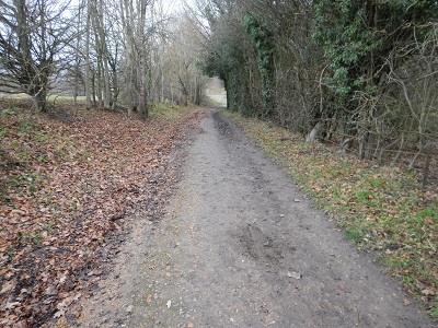 Photograph of northern part of Aldenham 12 bridleway