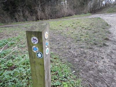 Photograph of northern part of Aldenham 12 bridleway