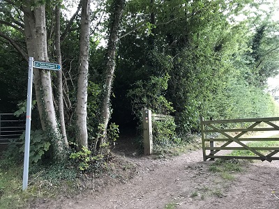 Aldenham 13