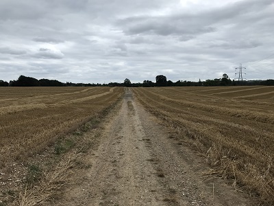 Aldenham 13