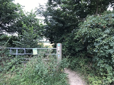 Aldenham 13