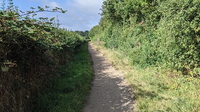 Photograph of Aldenham 15