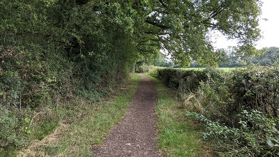 Aldenham 5