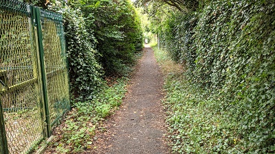 Photograph of Aldenham 53