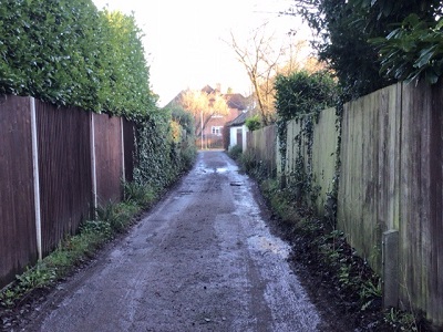 Photograph of The Pathway