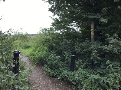 Photograph of Aldenham 72 bridleway
