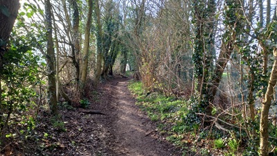 Aldenham 74
