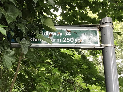 Aldenham 74