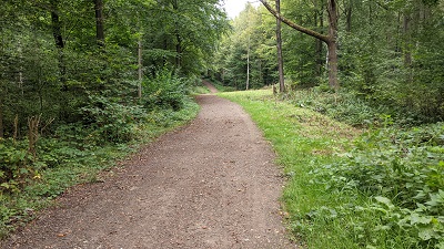 Photograph of Aldenham 92