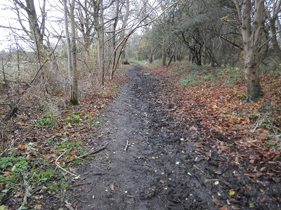 Photograph of Aldenham 77