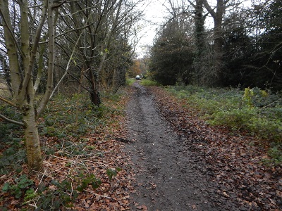 Photograph of Aldenham 77