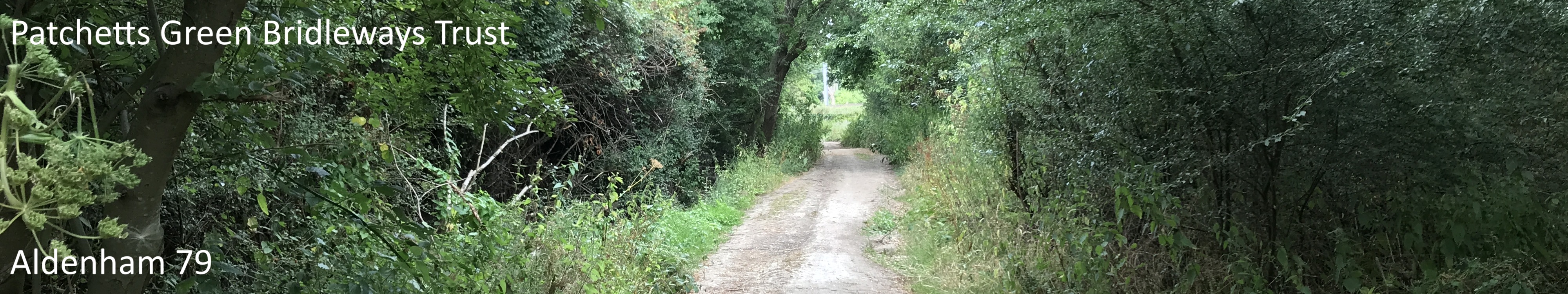 Photograph of Aldenham 79 restricted byway, Tykeswater Lane, taken in 2022 showing path with trees and shrubs each side