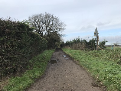 Blackbirds Lane photograph