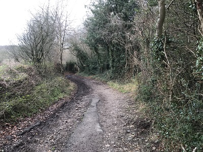 Blackbirds Lane photograph