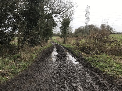 Blackbirds Lane photograph