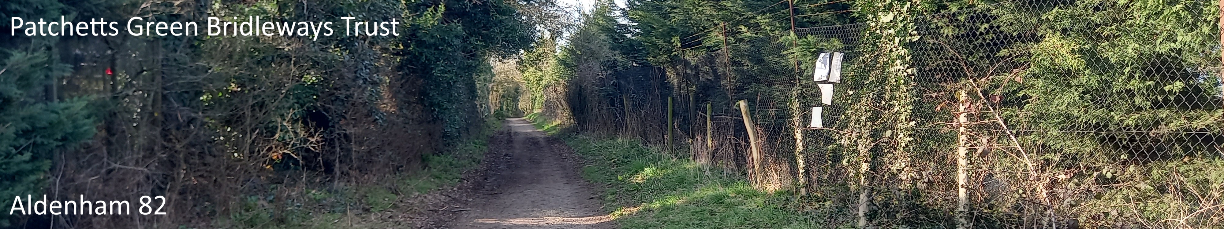 Image of Aldenham 82 restricted byway taken in 2025 showing old road bounded by hedgerows