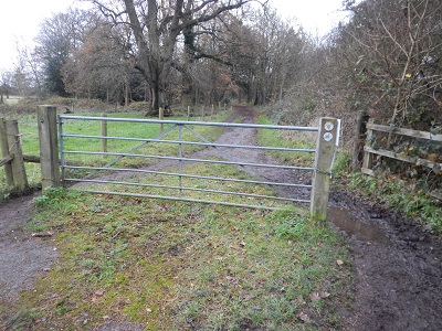 Photograph of Aldenham 77 from Aldenham 87