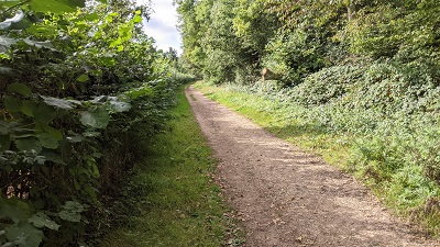 Photograph of Aldenham 92