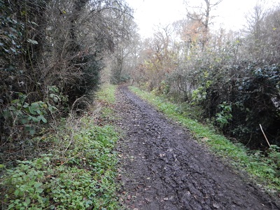 Photograph of Aldenham 93 bridleway