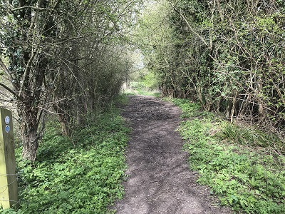 Photograph of Aldenham 97