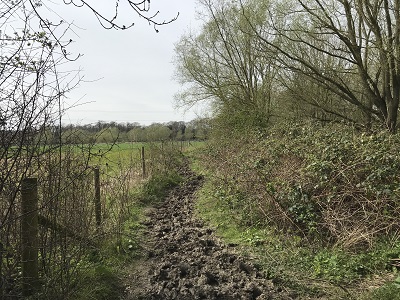 Photograph of Aldenham 97