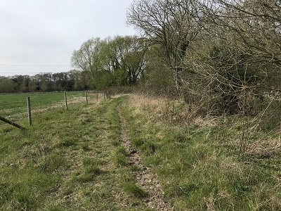 Photograph of Aldenham 97