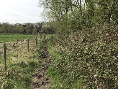 Photograph of Aldenham 97