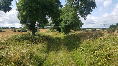 Anstey 20