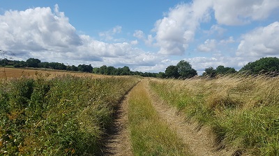 Anstey 20