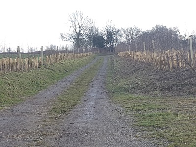 Permissive diversion, leaving old line of Anstey 20