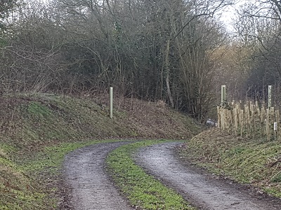 Permissive diversion, continuing westwards