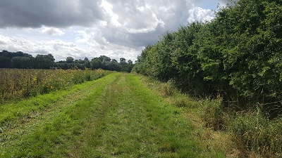 Anstey 9 from road