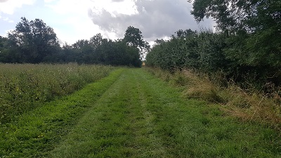 Anstey 9 looking South