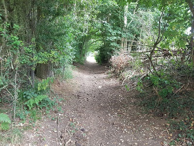 Photograph of Ardeley 49