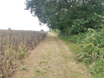 Photograph of Ardeley 49