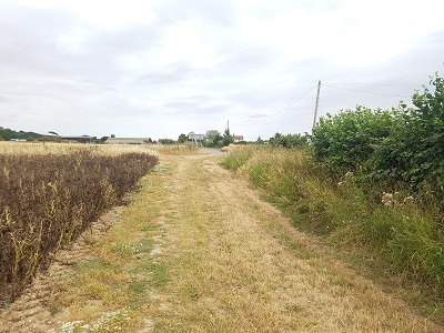 Photograph of Ardeley 49