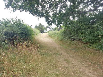 Photograph of Ardeley Windmill Path
