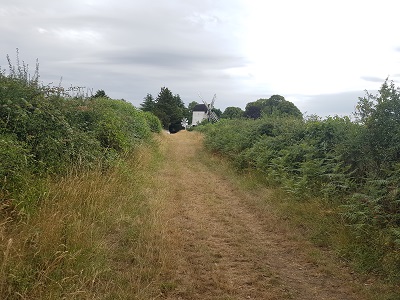 Photograph of Ardeley Windmill Path