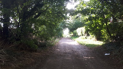Ashwell 16