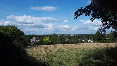 Ashwell 16